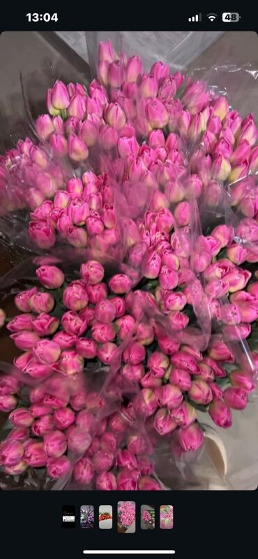 Цветы и букеты: Тюльпаны оптом. - Срезанные тюльпаны в упаковке, готовые к — 8