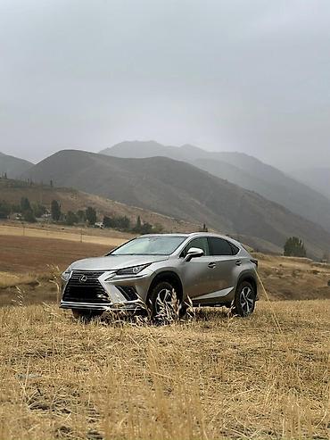 капот марк 2 90: Lexus NX: 2019 г., 2 л, Автомат, Бензин, Кроссовер — 2