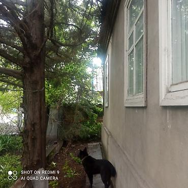 Продажа коттеджей и домов: Продаётся дом, 80 кв. м. 6 комнат, кирпичный, тёплый. Хозпостройки — 5