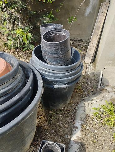 taxta dibçək: Bağçılıq üçün plastik qab və aksesuar dəsti - Müxtəlif ölçülərdə qara — 1