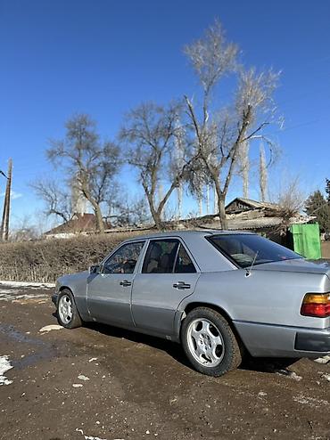 Mercedes-Benz: Mercedes-Benz W124: 1991 г., 2.6 л, Механика, Бензин, Седан — 8