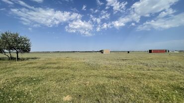 продаю участок 3 соток: 4 соток, Для строительства, Красная книга, Договор купли-продажи