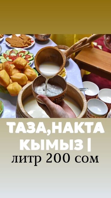 термос для воды: Кымыз, традиционный напиток из кобыльего молока, предлагается в