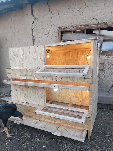 Товары и оборудование для с/х животных: Жөжөлөрго Бурдерлер Жөжө Капас Бар жөжөгө Ар кыл размер ар кыл баада at lalafo.kg — 8 Товары и оборудование для с/х животных: Жөжөлөрго Бурдерлер Жөжө Капас Бар жөжөгө Ар кыл размер ар кыл баада — 8