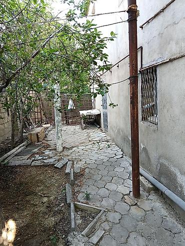 1 otaq evler: Sumqayıt şəhər Hacı Zeynalabdin Tağıyev qəsəbəsi heyet evi 1 otaqlı — 1