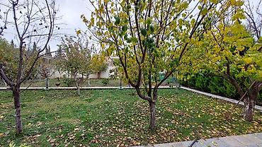 puta ev: Zabrat 5 otaqlı, 212 kv. m, Kredit yoxdur, Orta təmir — 8