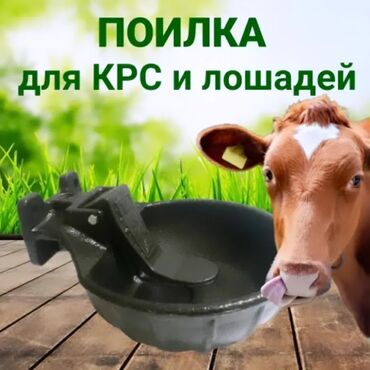 Qidalandırıcılar: Yem qabı, Su üçün, Heyvanlar üçün, Rayonlara çatdırılma, Ödənişli çatdırılma, Ünvandan götürmə — 10