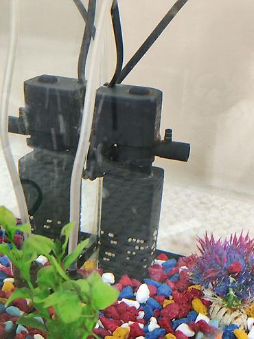 куплю аквариумных рыбок: Аквариумный комплект для домашнего мини‑водоёма - Прямоугольный — 4