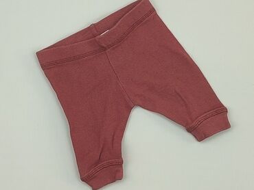 bordowe majtki: Spodnie dresowe, Wcześniak, stan - Dobry