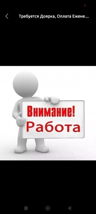 швея керек ак ордо: Срочно Срочно Пребуется доярка, оплата ежемесячно отдельный дом есть