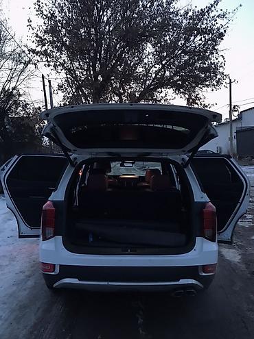 Hyundai: Hyundai Palisade: 2020 г., 2.2 л, Автомат, Дизель, Кроссовер — 14