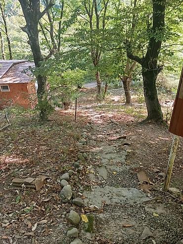 Günlük kirayə evlər: Masalli rayonu. İsti su istirahet merkezine yaxin. Turan restoranina — 14