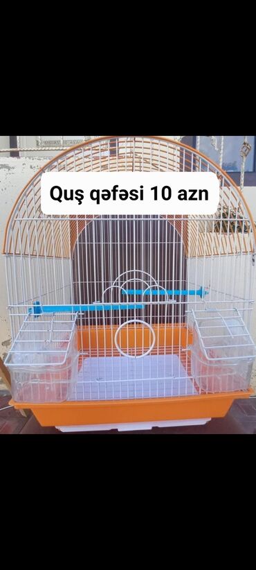 Qəfəslər: Qəfəslər