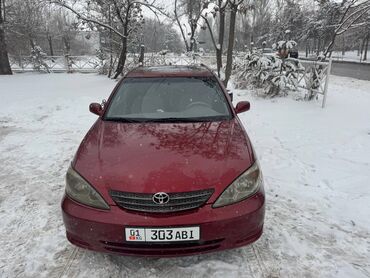 toyota camry 2004: Toyota Camry: 2002 г., 2.4 л, Автомат, Бензин, Седан