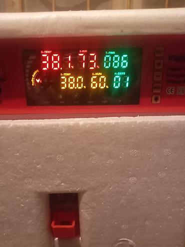 İnkubatorlar: Çin, Tam avtomat — 3