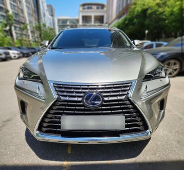 авто в рассрочку электромобиль: Lexus NX: 2020 г., 2.5 л, Автомат, Гибрид, Кроссовер