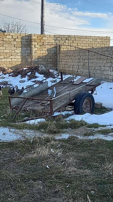 opel zafira b: Lada Niva 4x4, ağ rəngli, Xüsusiyyətlər: - Tam ötürücü (4x4) — 4