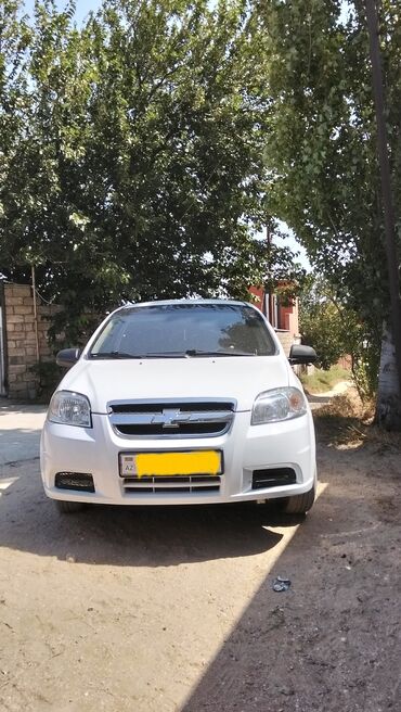 Chevrolet: Chevrolet Aveo sedan – ağ rəng, 4 qapılı, ön ötürücülü şəhər — 2