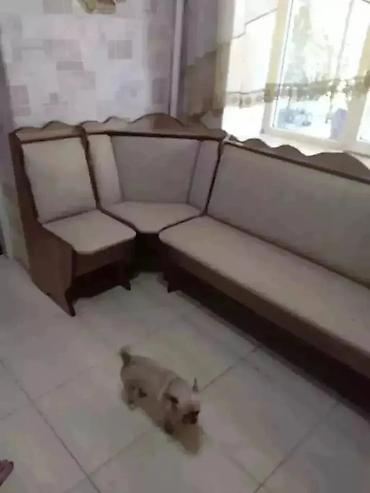 Ремонт, реставрация мебели: Ремонт перетяжка стульев, кресло, кушетки, кровати, диваны, ремонт — 12