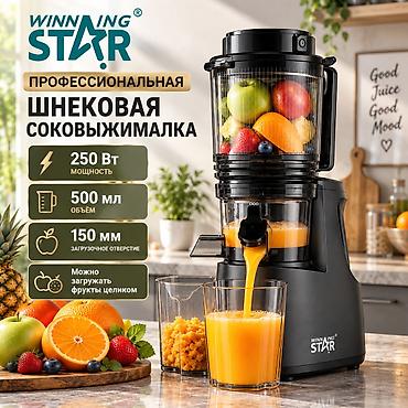 Профессиональная шнековая соковыжималка Winning Star ST-1060 -