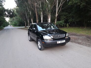 Lexus: Lexus RX: 2002 г., 3 л, Автомат, Бензин, Внедорожник