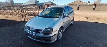 Nissan: Nissan Almera Tino: 2001 г., 1.8 л, Механика, Бензин — 1