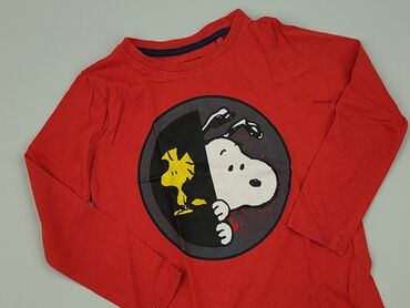 podkoszulki termoaktywne: Sweatshirt, 5-6 years, 110-116 cm, condition - Very good