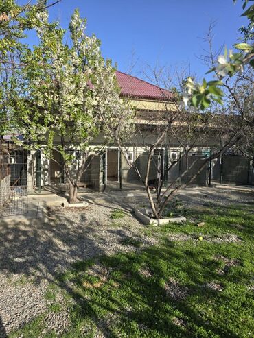 Другие услуги: Зоостиница Гостиница для собак Платная передержка Вам срочно — 2