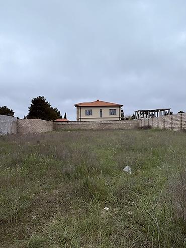 massive: 12 sot, Tikinti, Kupça (Çıxarış) — 10