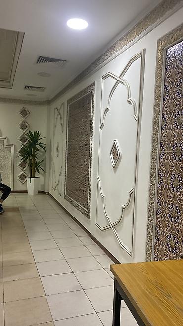 Покраска: Покраска стен, Покраска потолков, Покраска окон, На масляной основе, На водной основе, Больше 6 лет опыта — 12