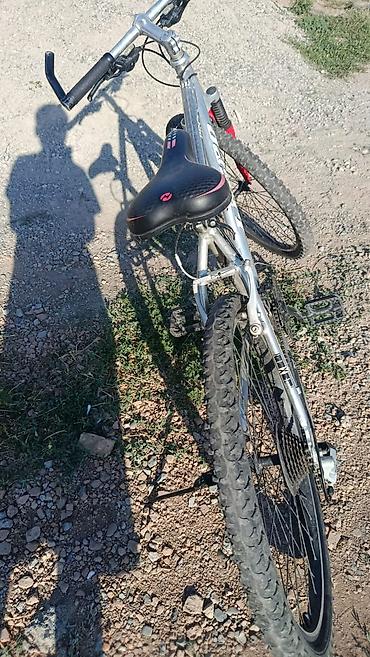 format velosiped: Горный велосипед Trek 3700 (серебристый) - Рама: алюминий, жесткая и — 2