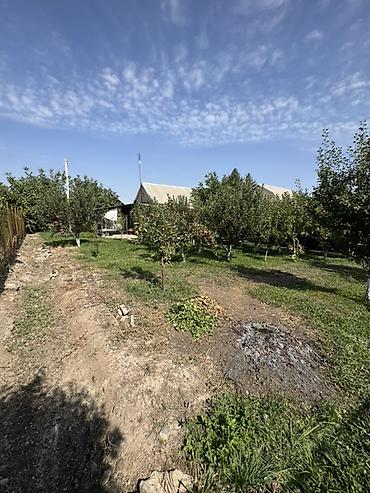 Продажа дачи: Продаётся хорошая и ухоженная дача в селе Байтик (рядом с комплексом — 14