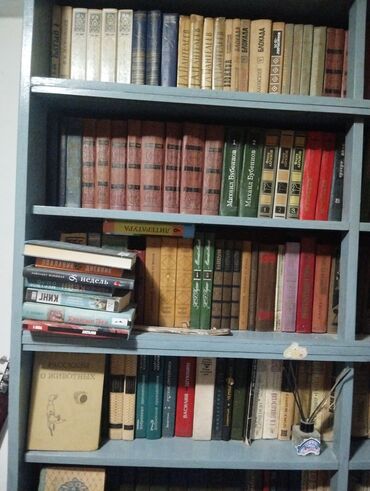 кресло для компютера: Домашняя библиотека: сборник классической и советской литературы в