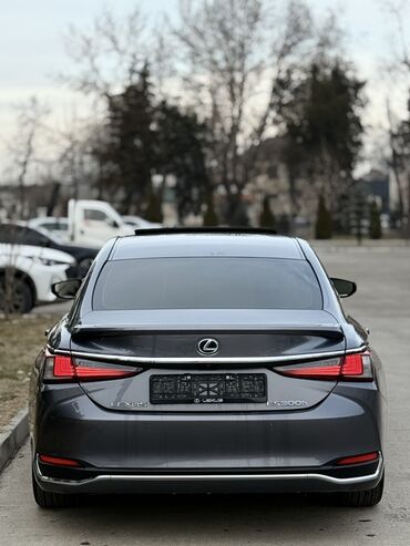 Lexus: Lexus ES: 2019 г., 2.5 л, Вариатор, Гибрид, Седан — 6