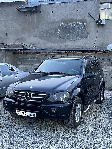 Mercedes-Benz: Mercedes-Benz ML-Class: 2002 г., 4 л, Автомат, Дизель, Кроссовер — 11