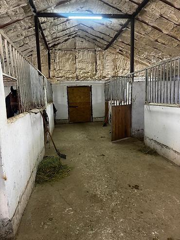 Продажа дач: 🔥 Срочно продаётся конюшня в Тош-Булаке! Отличный вариант для — 11