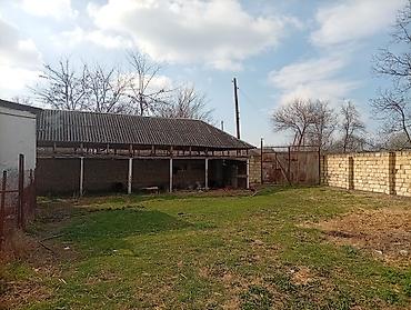 Torpaq sahələrinin satışı: 38 sot, Kənd təsərrüfatı, Mülkiyyətçi, Kupça (Çıxarış) — 14