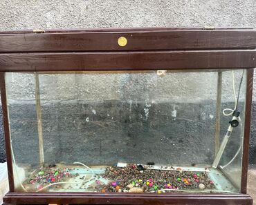 аквариум для черепахи: Аквариум с крышкой и декором300 литров - Прямоугольный стеклянный lalafo.kg да аквариум для черепахи: Аквариум с крышкой и декором300 литров - Прямоугольный стеклянный