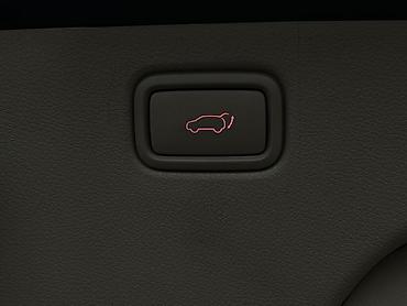 Kia: Kia Carnival: 2020 г., Дизель — 18