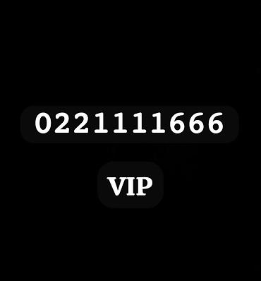 открытка с праздником нооруз: VIP красивый номер: Описание: - Лёгкая запоминаемость за счёт — 1