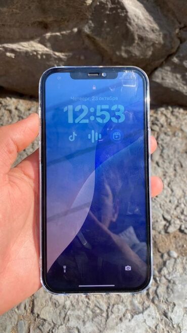 пассивное сетевое оборудование спартак: IPhone 12 Pro Max, Pacific Blue, Чехол, Кабель