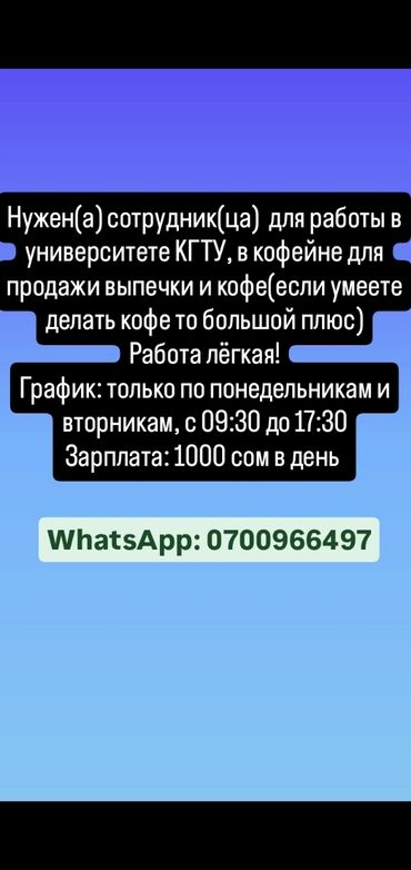 гастроскопия в бишкеке: Другие специальности в продажах