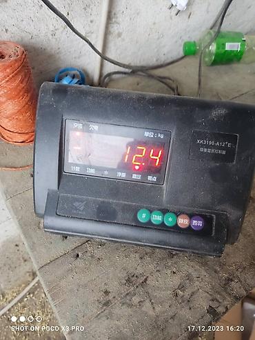 Дробилки: Вакумные Зерно дробилки кормосмесители на заказ! кормосмесители от — 18