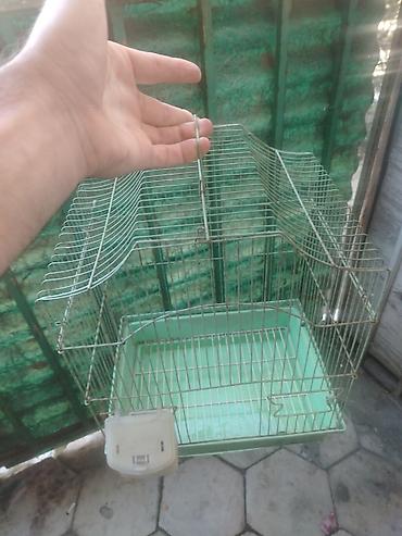 Qəfəslər: Quş qəfəsi – metal karkaslı, yaşıl rəngdə plastik altlıqlı model — 2