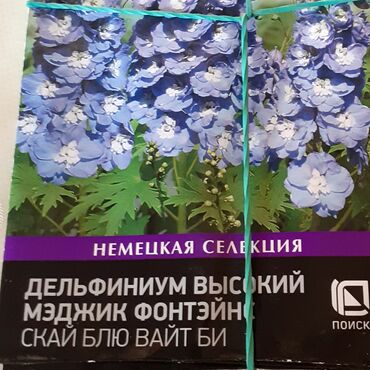 Другие книги и журналы: Продается семена дельфиниумов и катарантусов — 3
