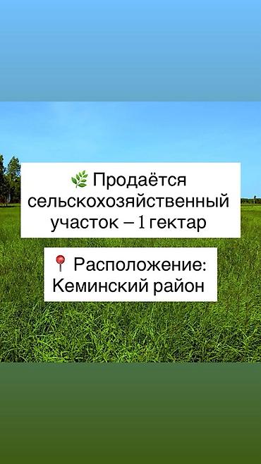 орловка кемин: 100 соток, Для сельского хозяйства — 1