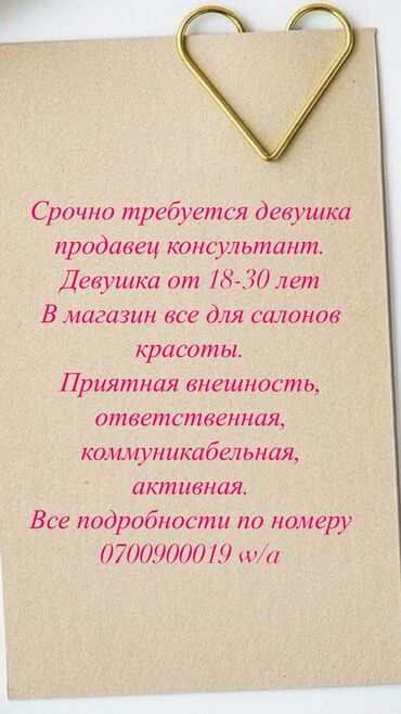 биндеры 17 листов с пластиковым корпусом: Продавец-консультант