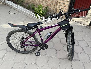 electra mobile: Горный велосипед VICKY (модель на раме: V900), фиолетовая рама — 2