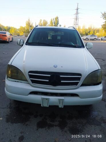 задний фонарь мерседес 124: Mercedes-Benz M-Class: 2000 г., Кроссовер