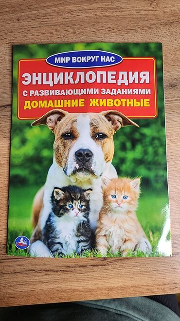 Детские книги: Набор детских книг (английский и русский языки) Состав: - Серия “An — 15